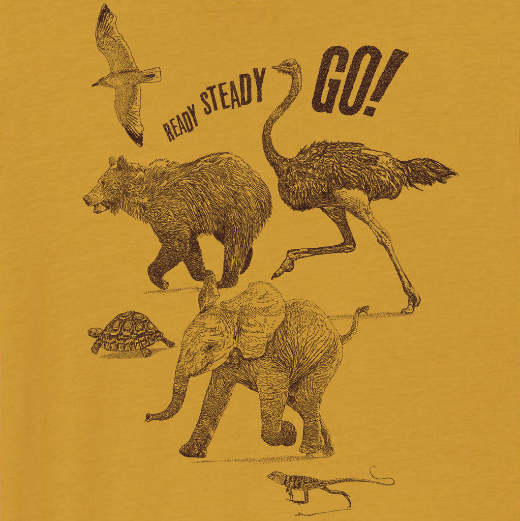 Lion Of Leisure Kids T shirt RACE Ready Steady GO Lion Of Leisure lion-of-leisure-kids-t-shirt-race-ready-steady-go-lion-of-leisure