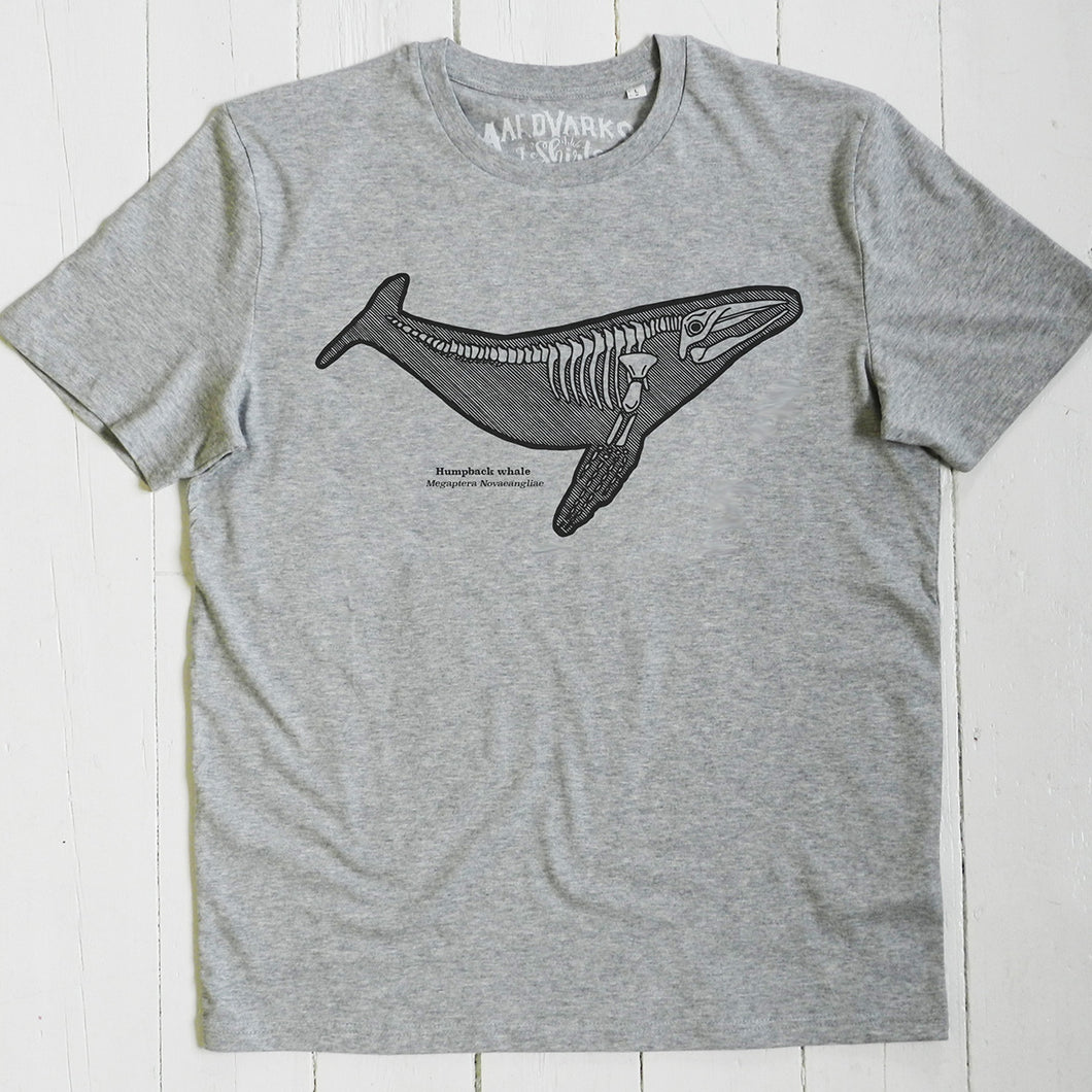 Humpback whale