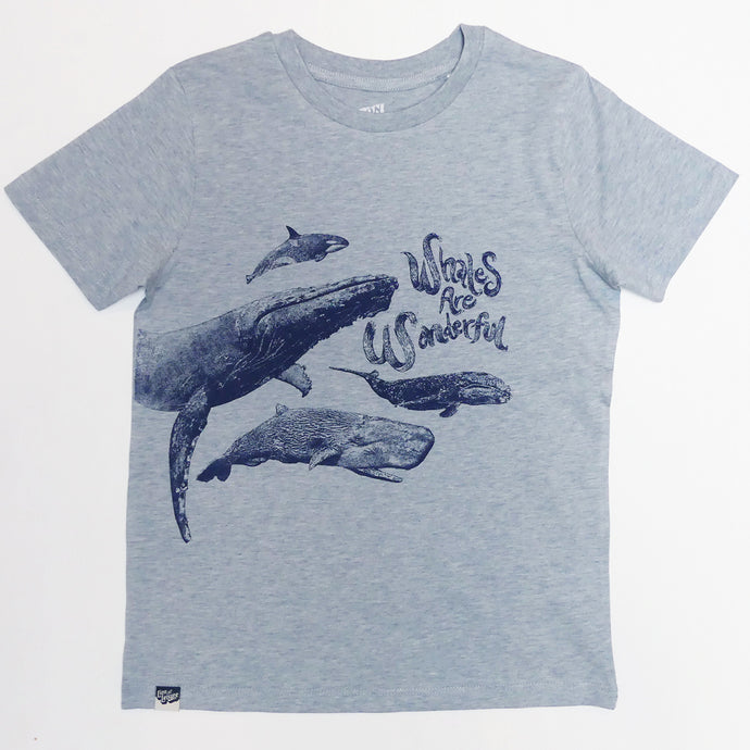 WHALES are wonderful
