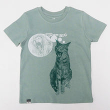 CAT - always dream big