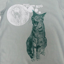 CAT - always dream big