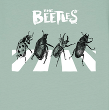 The Beetles