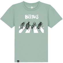 The Beetles