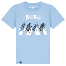 The Beetles