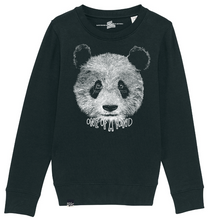 PANDA - one of a kind