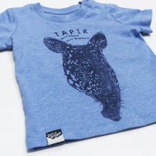 TAPIR - part mouse, part elephant