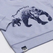 BEARS - are we nearly there yet?