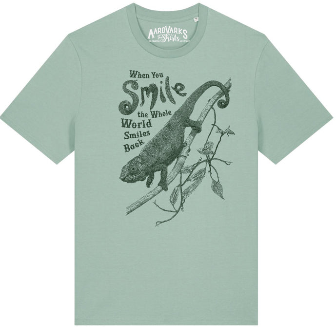 CHAMELEON - When you smile the whole world smiles back