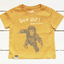 CHIMP - Look out! Here I come ...