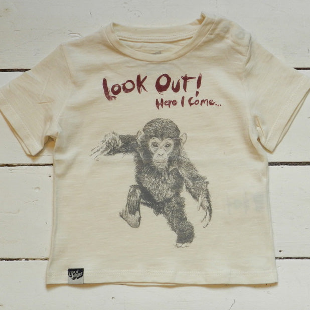 CHIMP - Look out! Here I come ...