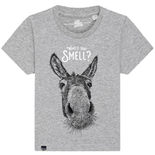 DONKEY - What's that smell?
