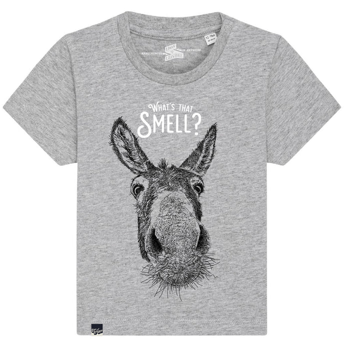 DONKEY - what's that smell?