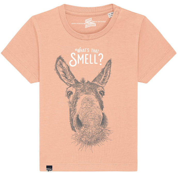 DONKEY - What's that smell?