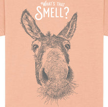 DONKEY - What's that smell?