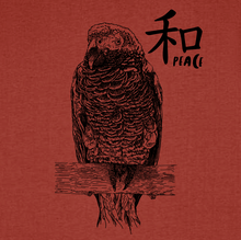 PARROT - peace