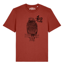PARROT - peace