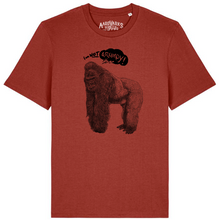 GORILLA - I'm not grumpy
