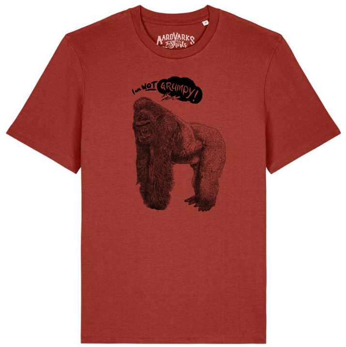 GORILLA - I'm not grumpy