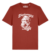 CHIMP - daydreaming is my life