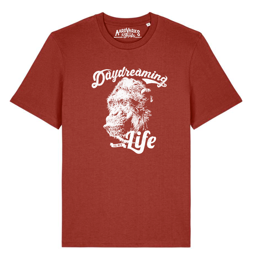 CHIMP - daydreaming is my life