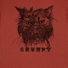 grumpy CAT