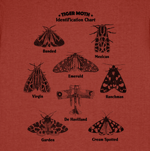 TIGER MOTH - identification chart