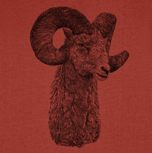 RAM - ramalama dingdong