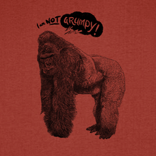 GORILLA - I'm not grumpy