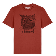 grumpy CAT