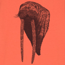 WALRUS - party animal