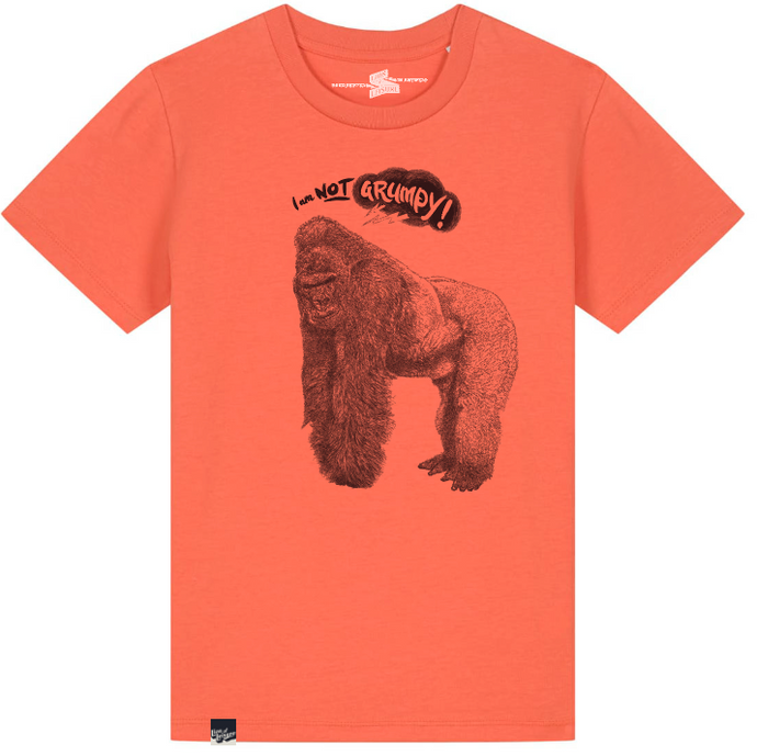 GORILLA - I'm not grumpy