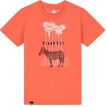 ZEBRA - don't fit in, stand out