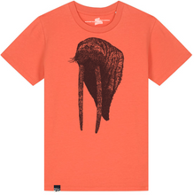 WALRUS - party animal