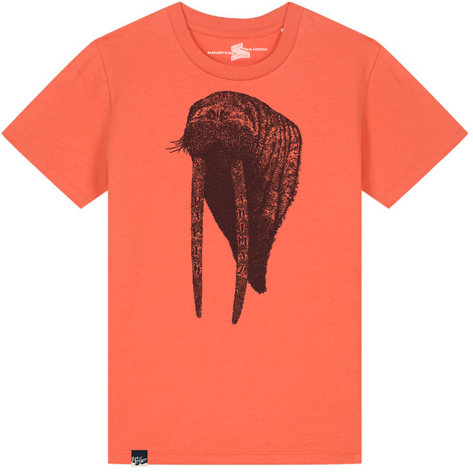 WALRUS - party animal