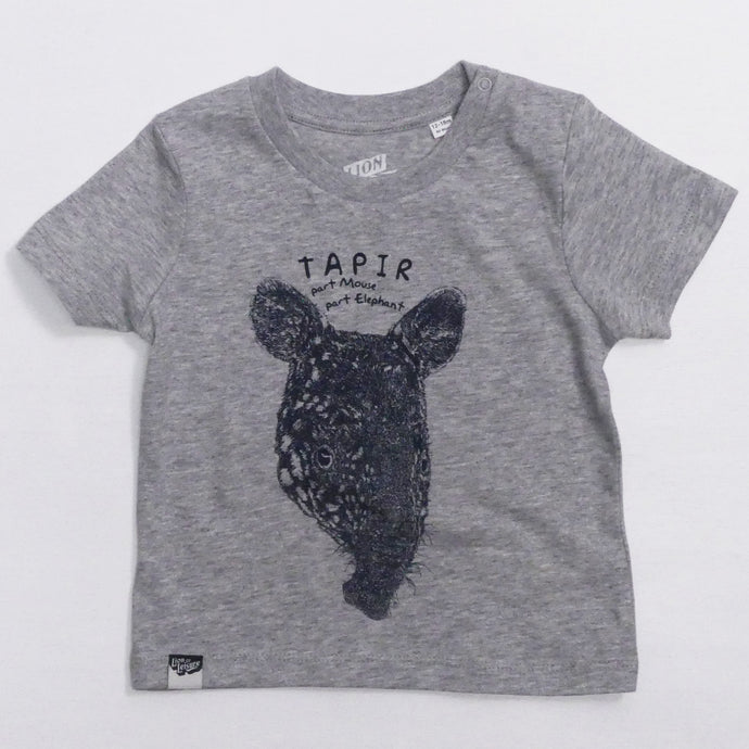 TAPIR - part mouse, part elephant