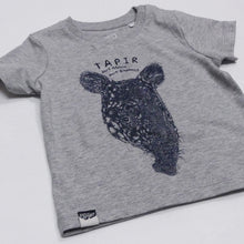 TAPIR - part mouse, part elephant
