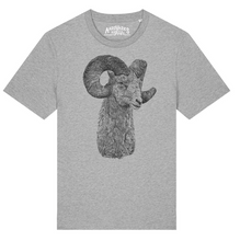 RAM - ramalama dingdong