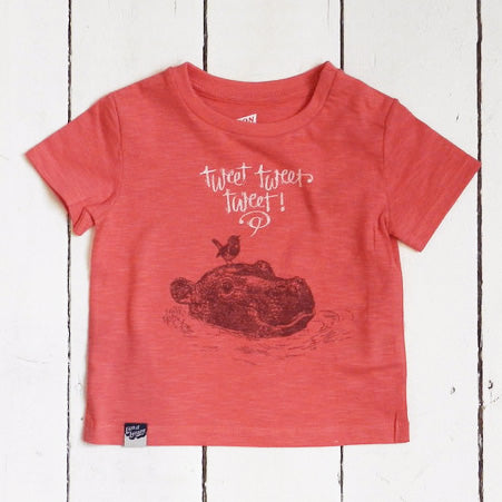 HIPPO - tweet, tweet, tweet