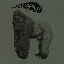 GORILLA - I'm not grumpy