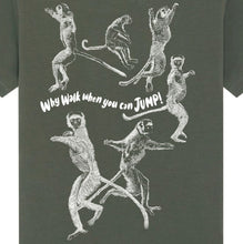 LEMURS - why walk when you can jump