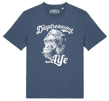 CHIMP - daydreaming is my life