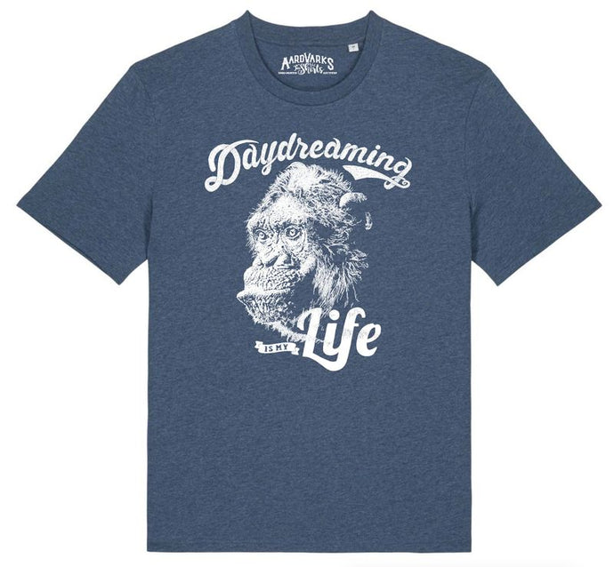 CHIMP - daydreaming is my life