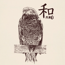 PARROT - peace