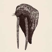 WALRUS - Party Animal
