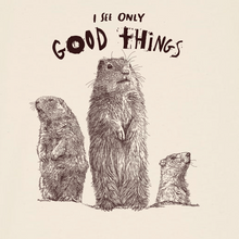 GROUNDHOG - I see only good things