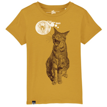 CAT - always dream big