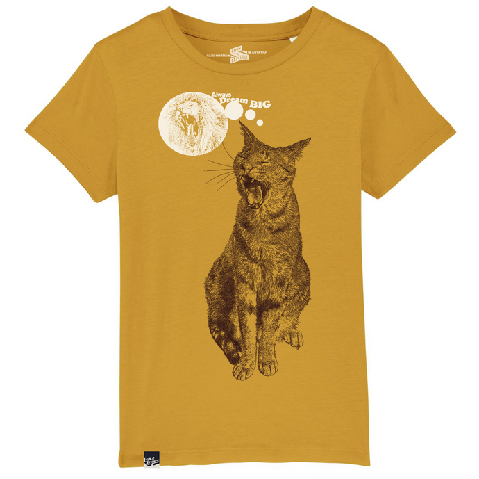 CAT - always dream big