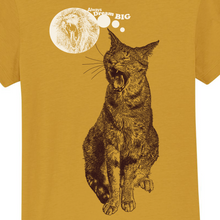 CAT - always dream big