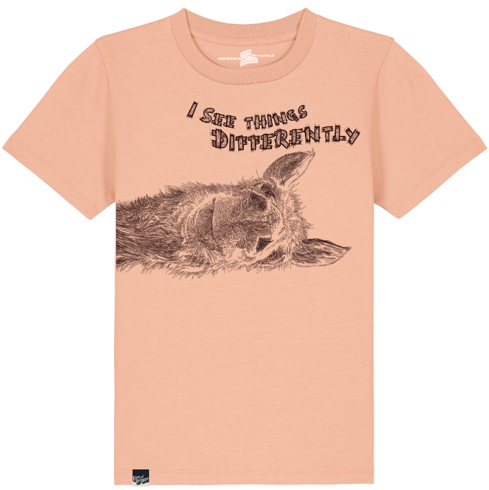 DONKEY - I see things differently