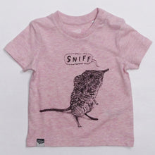 SHREW - sniff